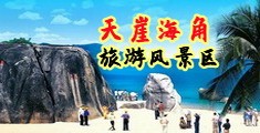 日韩鸡吧操逼海南三亚-天崖海角旅游风景区